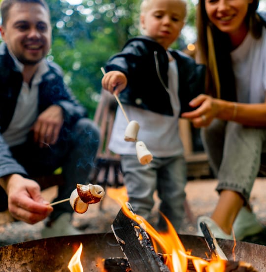 Children cooking marshmallows over a campfire